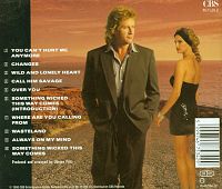 Wild And Lonely Heart [CD], 1