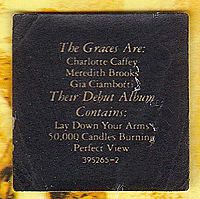 Perfect view [CD], 1