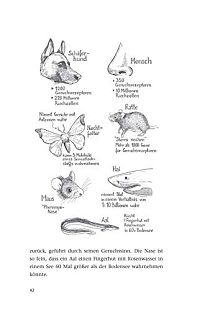 Die geheime Macht der Düfte: Warum wir unserem Geruchssinn mehr vertrauen sollten, 5