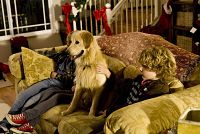 Die Weihnachtshochzeitsgeschichte [DVD], 1