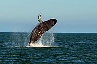 An Ende der Welt - At the Edge of the World  [DVD], 4