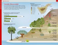 Baedeker Reiseführer Teneriffa, 5