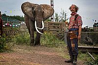 Liliane Susewind [DVD], 2