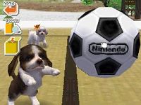 Nintendogs - Dachshund & Friends [Nintendo DS], 7