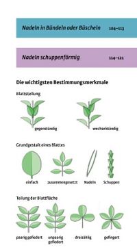 Welcher Baum ist das?, 2