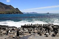 Pengi und Sommi - Die neue Reise der Pinguine [Blu-ray], 2