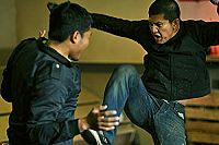The Raid 2 [DVD], 2
