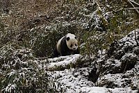 Wildes China [DVD], 3