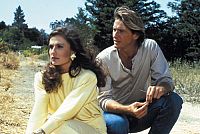 Falcon Crest - Staffel 1 [DVD], 7