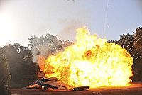 Kleine Helden, grosse Wildnis 2 - Abenteuer Serengeti [DVD], 1