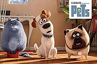 Pets [Blu-ray], 2