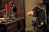 Geld her oder Autsch'n! [Blu-ray], 3