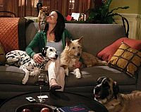 How I Met Your Mother - Staffel 1 [DVD], 4