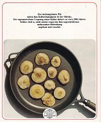 Shiitake Kochbuch, 1