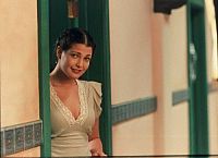 College Animals [DVD], 7