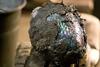 Mein Freund, der Wasserdrache [DVD], 4