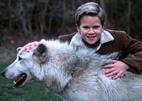 Aaron und der Wolf [DVD], 5