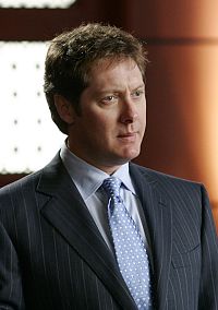 Boston Legal - Die komplette Serie [DVD], 4