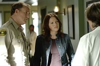 CSI: Crime Scene Investigation - Season 8.2 [DVD], 5