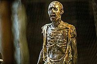 Zombie Fight Club [DVD], 6