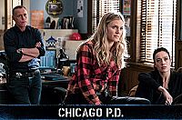 Chicago P. D. - Staffel 6 [DVD], 9