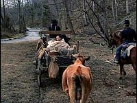 Die Graue Armee [DVD], 7