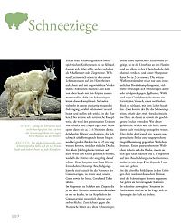 Tierkinder im Zoo, 4