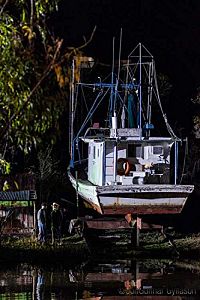 The Lookalike [DVD], 2