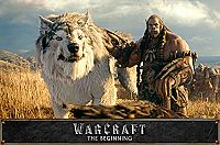 Warcraft - The Beginning [DVD], 3