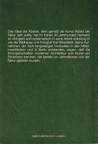 Urformen der Kunst, 1