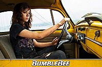Bumblebee [DVD], 3