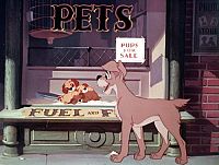 Susi und Strolch [Blu-ray], 6