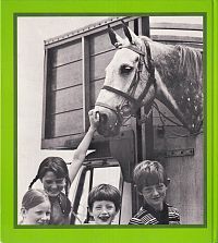 Grosse Pferde - kleine Reiter, 1