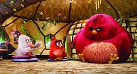 Angry Birds - Le film [Blu-ray], 4
