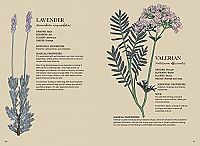 Magicka - Finding Spiritual Guidance Through Plants, Herbs, Crystals, and More, 4