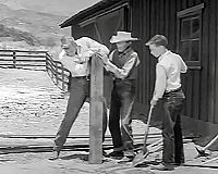 Fury - Die Abenteuer eines Pferdes 2 [DVD], 3