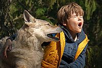 Bruno bei den Wölfen [DVD], 4