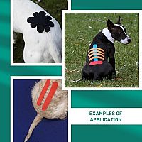 Kinesiologie Taping für Hunde, 4