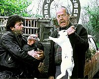 Ein Haus in der Toscana [DVD], 3