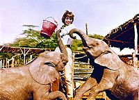 Hatari! [Blu-ray], 1