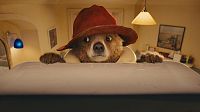 Paddington [Blu-ray], 3