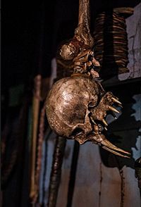 Jeepers Creepers 3 [Blu-ray], 3