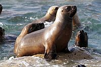 Die fantastische Reise unserer Erde  [Blu-ray 3D], 2