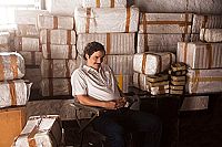 Narcos - Staffel 1 [DVD], 5