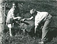 Die Höhlenkinder - Die komplette Serie [DVD], 2