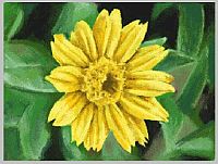 Art Academy - Zeichen und Maltechniken [Nintendo DS], 9