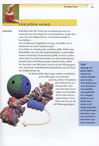 Erziehungsspiele für Hunde, 3