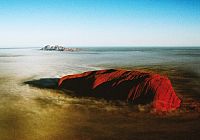 Wildes Australien - Die komplette Serie [DVD], 3