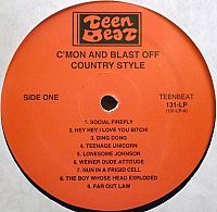 C'mon and Blast off Country Style [Vinyl], 2