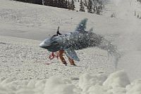 Snow Sharks - Uncut [Blu-ray], 3